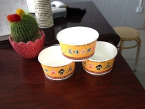 一次性彩印纸碗