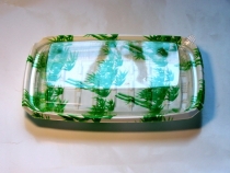 绿色竹子寿司盒