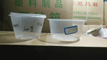 济南食品托盒